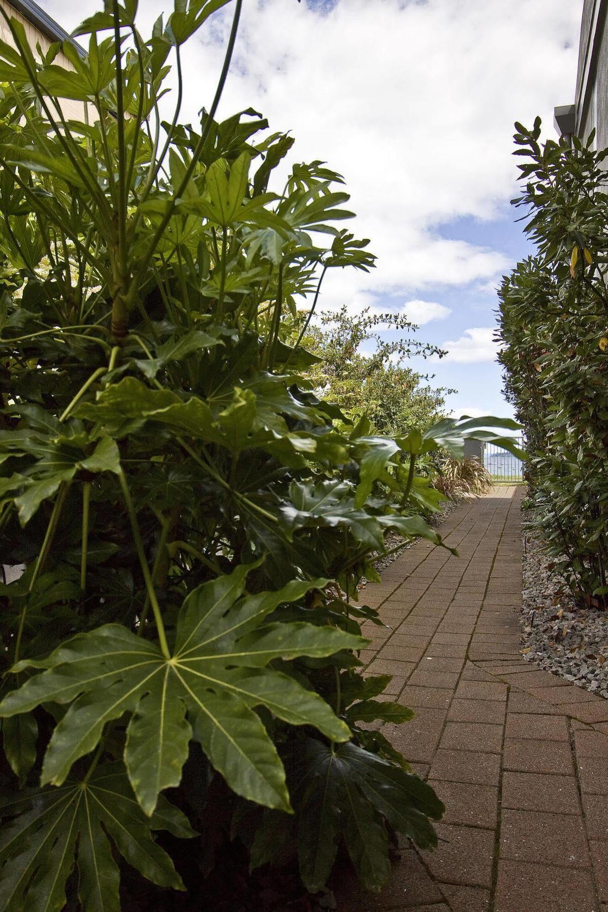 Clearwater Motor Lodge Taupo Exterior foto